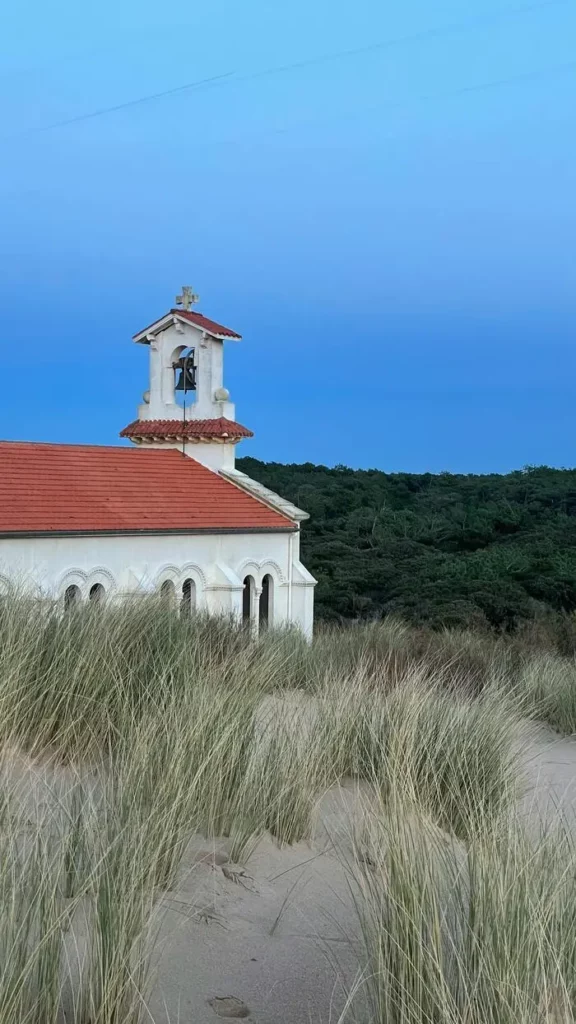 Entretien et santé des arbres dans les Landes