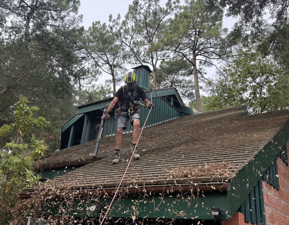 Travaux en hauteur, nettoyage d'une toiture à Hossegor.